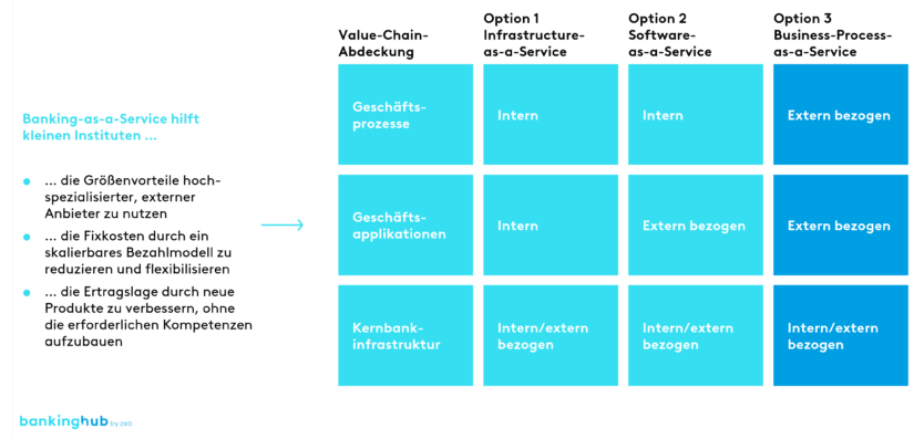 Gestaltungsoptionen: Banking-as-a-Service, Business-Process-as-a-Service